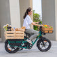 Fiido T2 Longtail Cargo E-bike