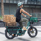 Fiido T2 Longtail Cargo E-bike