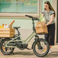 New! Fiido T3 — The Compact Family Cargo E-Bike for Modern City Life